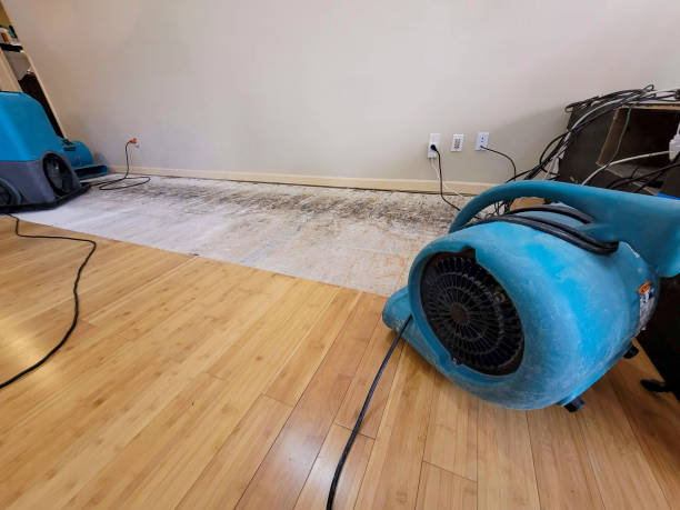Professional Flood Damage Cleanup technician working in Smithville, MO